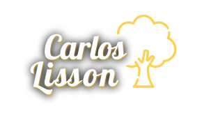 Mejoramiento de los servicios recreativos del parque Carlos Lisson